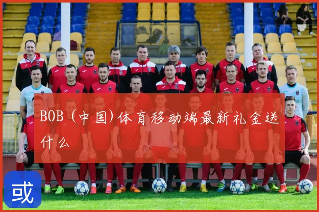 BOB (中国)体育移动端最新礼金送什么