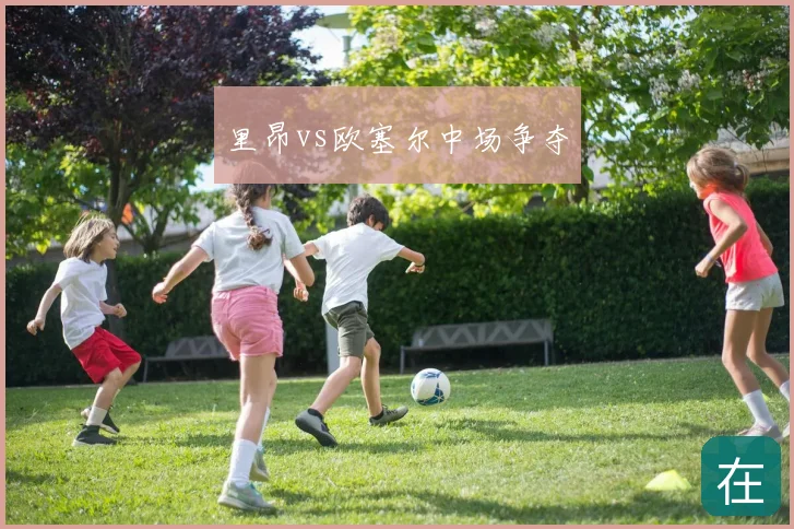里昂vs欧塞尔中场争夺