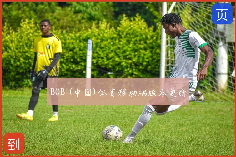 BOB (中国)体育移动端版本更新