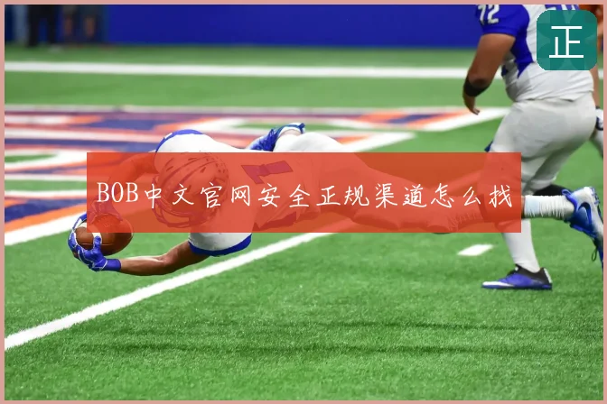 BOB中文官网安全正规渠道怎么找