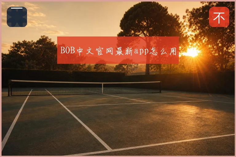 BOB中文官网最新app怎么用